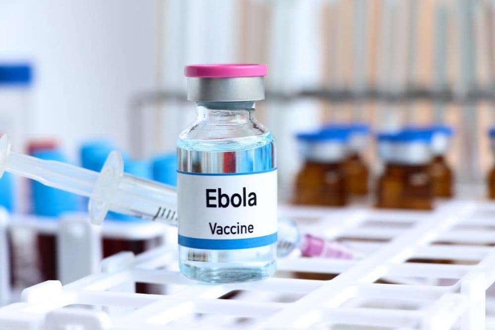 The leading Ebola vaccine candidate has been left undeveloped for a decade and a half.